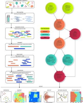 Marine Microeukaryote Metatranscriptomics: Sample Processing and Bioinformatic Workflow Recommendations for Ecological Applications